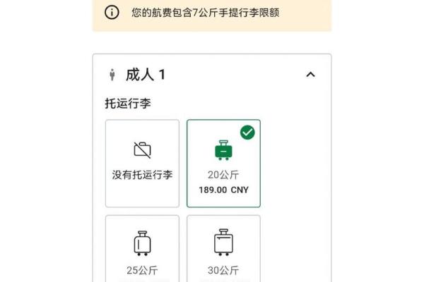 全面解析行李托运收费标准及注意事项